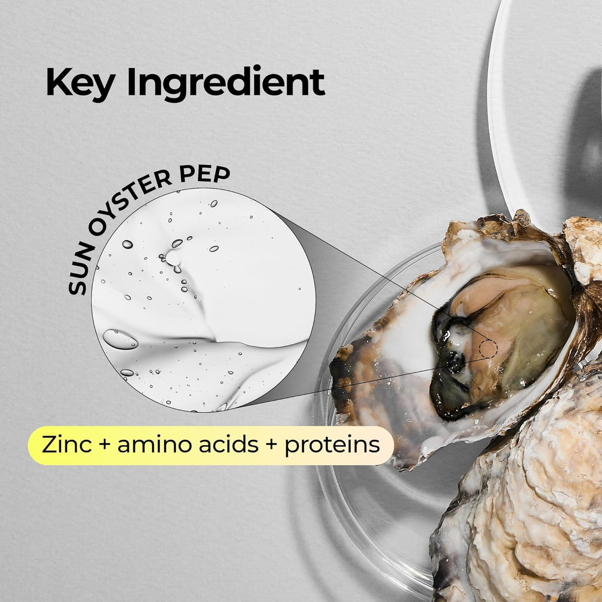 Dr. Melaxin Oyster Peptide Αντιγηραντική Κρέμα Προσώπου Νυκτός με Πεπτίδια 50ml
